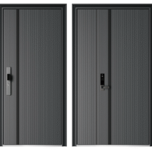 Cửa Thép 1 Cánh Cao Cấp Luxury - CG08